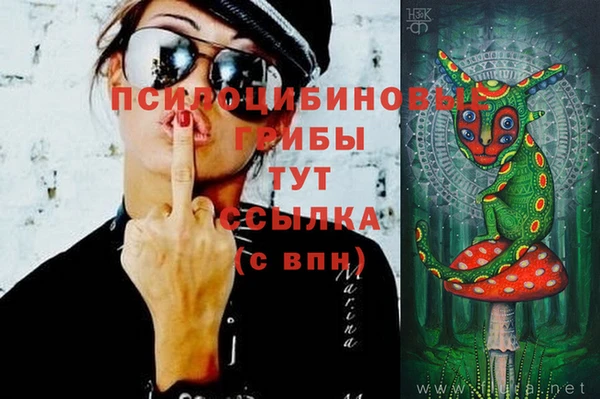 мескалин Вяземский